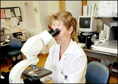 Inline image 1