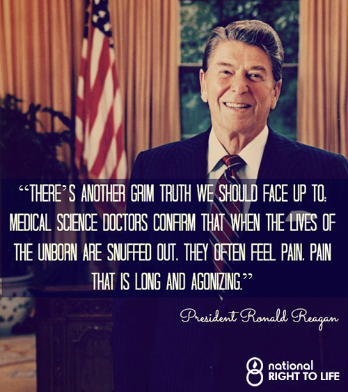 Ronald Reagan's Legacy: "The Sacred Value of Human Life" | LifeNews.com