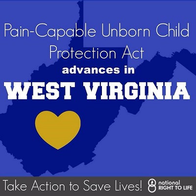 West Virginia House Passes Bill Banning Abortions After 20 Weeks ...