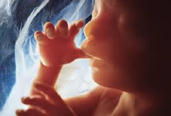 The debate over abortion involves a being recognizably human. 