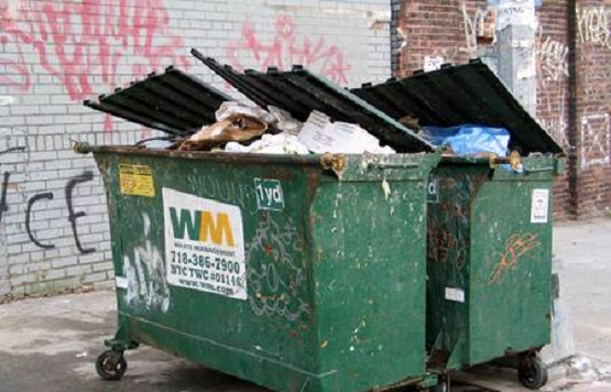The Third Dumpster