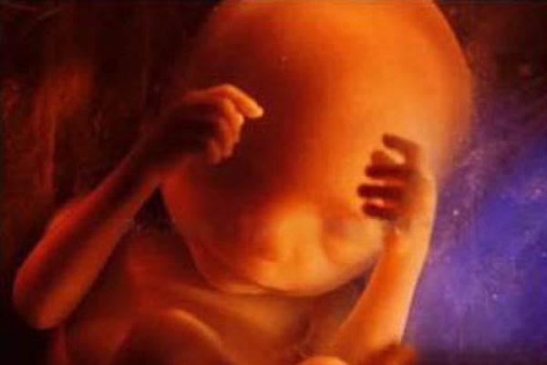 Colorado Amendment Would Create a “Right” to Kill Babies in Abortions