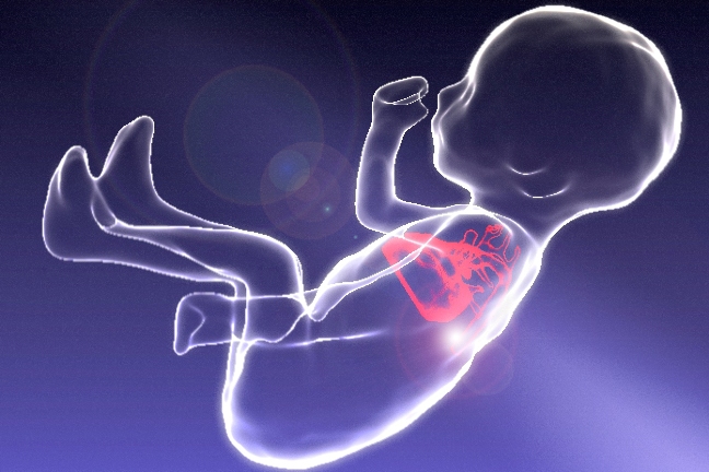 Idaho Bill Would Ban Abortions Like Texas Law That Has Saved Thousands of Babies From Abortion