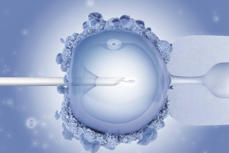 Republican Senators Sponsor Bill to Support IVF