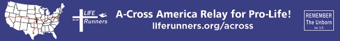 Bottom Banner