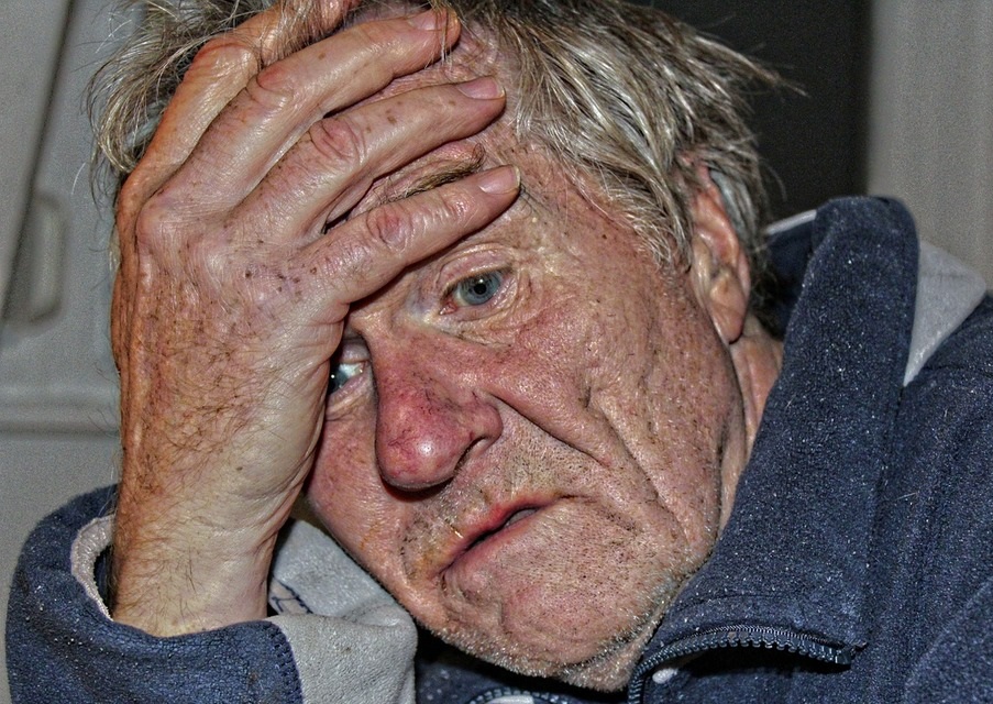 Feed Image